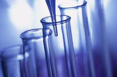 2205、2507、254SM0、904L等特殊鋼的腐蝕試驗研究