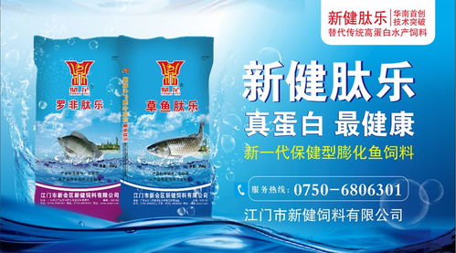 市場波動與產業創新 水產價格分化與功能性茶飲研發趨勢